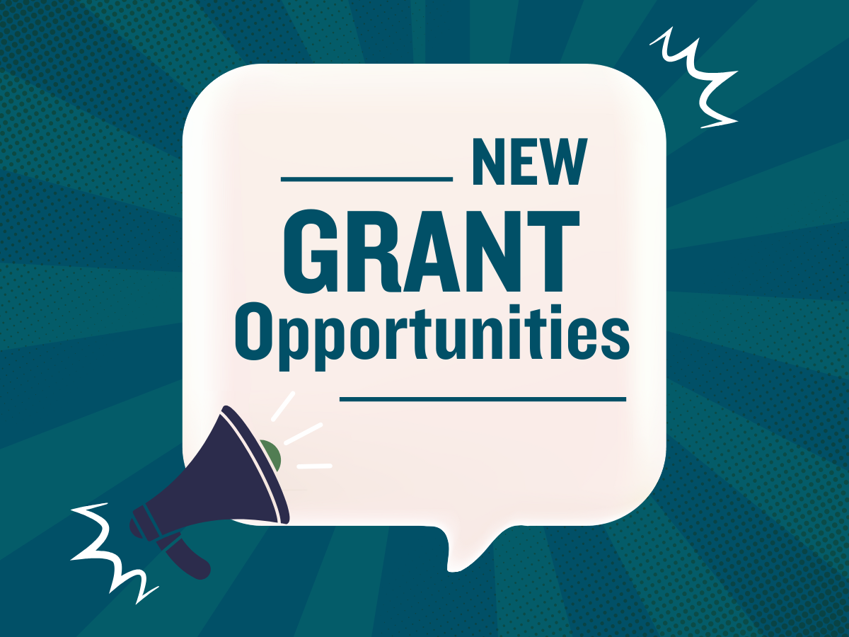 Grantee Portal New Hanover Community Endowment
