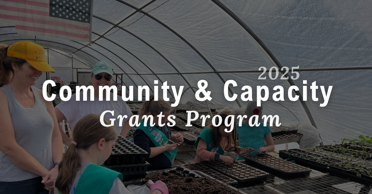 2025 Community and Capacity Grants Program - New Hanover Community ...